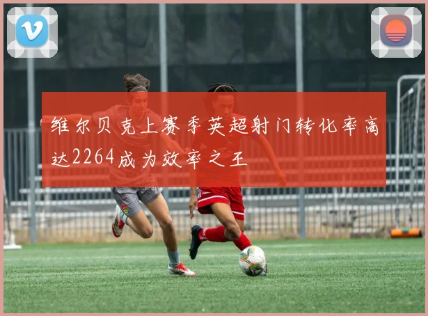 维尔贝克上赛季英超射门转化率高达2264成为效率之王